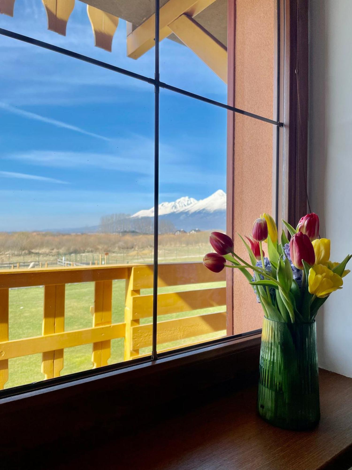 Apartment Kimo - Stunning View Of High Tatras Vel'ka Lomnica Esterno foto